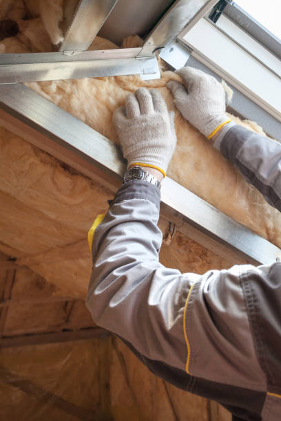 Trusted IA Insulation Contractor Experts